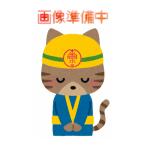 ファインシリコンフレッシュ２ つや有り 16kgセット 白 (ホワイト)  超低汚染形ターペン２液形アクリルシリコン樹脂塗料 日本ペイント