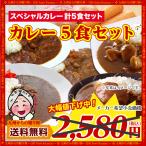 ショッピングレトルトカレー セール 当店で今人気のスペシャルカレー5食セット 本格 オススメ ご当地カレー レトルト 送料無料 福岡  食べきり 5食 エコ包装 非常食 得トクセール