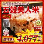 ショッピング雑穀米 雑穀米 送料無料 九州 熊本県産100% 五穀米420g×1袋 雑穀 お米 お取り寄せ 米 エコ包装 地産地消 ポイント消化 1000円 雑穀米 五穀米 健康 熊本 ご飯 お米