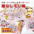 小袋 おつまみ 種なし まろやか 干し梅 大容量 40～48個入り 個包装 小分け 訳あり お徳用 止まらない 小腹 お酒 つまみごと  おつまみ 食品  おやつ 送料無料