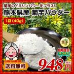 菊芋 パウダー 熊本県産菊芋使用 ふるさと 菊芋 きくいも パウダー 40g イヌリンパワー キクイモ ぱうだー 健康 国産 熊本 九州産 イヌリン 野菜 a1 送料無料