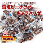 ショッピングポッキリ 雪塩ピーナッツキャラメリゼ 約140g  カリッと香ばしい 小袋 小分け 沖縄 宮古島産 ポイント消化 500円 ポッキリ お菓子 ポイント利用 お試し商品 サンプル 爆買