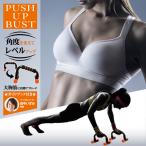 スタイルアッププッシュアップバー  腕立て伏せ バストアップ 胸筋 負荷 トレーニング 運動 筋トレ ストレッチ 器具 宅トレ グッズ 運動不足解消 簡単