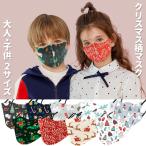 ハロウィンマスク クリスマスマスク 子供 大人 キッズ 1枚 洗える 耳ゴム調節 立体 コスプレ 仮装 かわいい 在庫あり