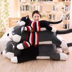 Yahoo! Yahoo!ショッピング(ヤフー ショッピング)ぬいぐるみ  いぬ  ハスキー犬 特大 抱きまくら ふわふわ 子供 彼女彼氏へ お誕生日 プレゼント  80cm