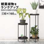 フラワースタンド コンソールテーブル 玄関 おしゃれ 棚 アイアン 観葉植物 プランタースタンド 北欧 スリム ラック 室内 花台 植物