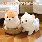  мягкая игрушка собака pomelani Anne .. нежный животное симпатичный подарок 55CM