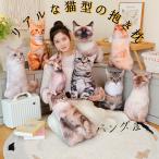  настоящий кошка мягкая игрушка подушка Dakimakura me чернила -n автомобиль m кошка желтохвост салфетка Short волосы american Short волосы 45cm бесплатная доставка 