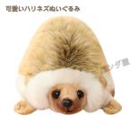 Yahoo! Yahoo!ショッピング(ヤフー ショッピング)ハリネズミぬいぐるみ おもちゃ ストレス解消 動物 ギフト 誕生日 子供 女の子 男の子 癒し おもしろ リアル 縫い包み 抱き枕 20cm
