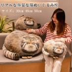  кошка. мягкая игрушка подушка мягкая игрушка животное. игрушка настоящий .... кошка. мягкая игрушка подушка Dakimakura ....... офис автомобильный подушка многоцелевой интерьер 