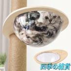 キャットタワー 宇宙船 後付け ハンモック キャットウォーク キャットステップ キャットカプセル 猫用 透明 カプセル型