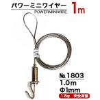 パワーミニワイヤーＭ１００　長さ１ｍ　ピクチャーレール用自在　170個単位