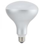 LED電球、LED蛍光灯
