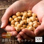 ヘーゼルナッツ 500g ヘーゼル ナッツ 無添加 素焼き 無塩 業務用 製菓 製パン グルメ お徳用 美容 健康 おやつ