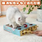  кошка игрушка ... только . коготь ..2IN1 2WAYmogla выбивалка -тактный отсутствует аннулирование движение нехватка . решение 