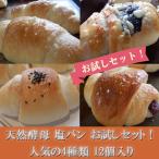  соль хлеб пробный комплект! популярный натуральный дрожжи соль хлеб 4 вид 12 штук входит рефрижератор рейс рассылка товар 