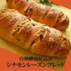 sinamon изюм хлеб 1 шт. белый бог дрожжи . включено рефрижератор рейс рассылка товар 