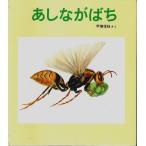 あしながばち 【特製版かがくのとも】/甲斐信枝