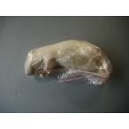  рефрижератор взрослый latoS