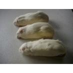  рефрижератор взрослый lato400 грамм 