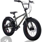 Discovery Adventures (ディスカバリー アドベンチャーズ) ファットバイク Fat City Cruiser BMX 自転車