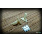 ZoomOn Z009 1/24 First молдинг модель B зеркало 