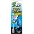 【第2類医薬品】 花粉症 ナフトレチン点鼻薬 20ｍｌ 大容量 ザジテンと同じ成分