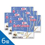 【6個】『ベルフェミン 60カプセル』 むくみ改善薬 静脈還流障害によるだるさ 重さ 疲れ 痛みを改善 セイヨウトチノキ種子エキス配合 ゼリア新薬【第2類医薬品】