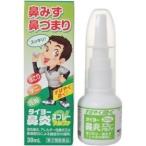 タイヨー鼻炎スプレーアルファ 30mL ×3　メール便　【第2類医薬品】  メール便 yg25