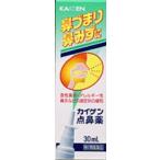 カイゲン点鼻薬 30mL　メール便　【第2類医薬品】  メール便 tk10