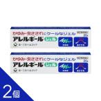 アレルギールジェル 20g ×2　メール便　【指定第2類医薬品】  メール便 tk10