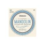 D'Addario EJ73 Mandolin Phosphor Bronze Light 10-38 ダダリオ マンドリン弦