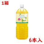 お茶(ソフトドリンク)