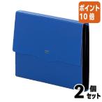 ■２点セット☆ポイント10倍■ファイル リヒトラブ ドキュメントファイル　Ａ４　藍 G5800-11