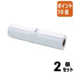 #2 позиций комплект * отметка 10 раз # Epson Epson обыкновенная бумага roll ( толстый ) EPPP90A1 594mm ширина EPPP90A1