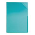  прозрачный файл kokyo твердый clear держатель <mote> (A3 видеть открытие размер )LBf-LM755LB