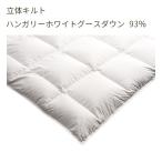 パラマウントベッド 電動ベッド インタイム セミシングル(140幅) 寝具 羽毛 掛けふとん 立体キルト ハンガリーホワイトグースダウン93% RE-ZK161KA 爆買