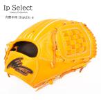 野球 グラブ Ip.059-Lc 内野手 硬式グラブ オールラウンド キップレザー アイピーセレクト Ip select Ip.059-Lc