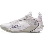 LI-NING(リーニン) ABAV043-3 WADE ALL CITY 13 Encore リーニン メンズ バスケットシューズ