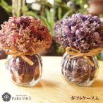 誕生日プレゼント 花 ギフト 母の日 出産祝い ドライフラワーポットアレンジ 記念日フォト ウェルカムスペース インテリア雑貨 結婚祝い フラワーギフト