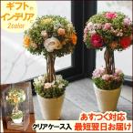 誕生日プレゼント 誕生日 母の日 ギフト 花 ドライフラワー トピアリー 開店祝い 新築祝い 引っ越し祝い 出産祝い インテリア雑貨 キャンディトピアリー(L)
