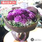 ムーンダストの花束(L)36本 母の日 ギフト 花 母の日 カーネーション 花 母の日 花 ギフト 母の日 プレゼント 青いカーネーション サントリーの花 希少品種