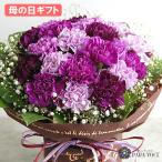 ムーンダストの花束（M） 24本 母の日 花 ギフト 母の日ギフト 母の日 花 プレゼント ギフト 花 サントリー 青いカーネーション 紫のカーネーション