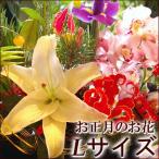 お正月の花 Lサイズ 門松 お正月 花 正月飾り 新年 年末 年始 迎春花 お正月飾り モダン 玄関 玄関飾り お洒落 迎春アレンジ 門松アレンジメント 生花 送料無料