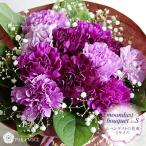 誕生日プレゼント 花 ギフト そのまま飾れるブーケ 古希祝い 米寿 卒寿 喜寿 サントリーの花 ムーンダストの花束(S) 12本の花束 紫のカーネーション