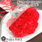 赤いカーネーションのミニブーケ 母の日 花 ギフト プレゼント 花束 ブーケ お手頃価格 安い 花 2024 母の日プレゼント 数量限定