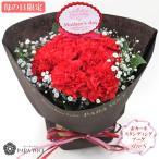 母の日 花 母の日 ギフト 母の日 カーネーション 赤いカーネーションのスタンディングブーケ Sサイズ 12本 お洒落 花瓶が要らない花束 贈り物