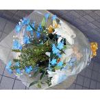  лилия * роза * дельфиниум. букет бесплатная доставка подарок.!!