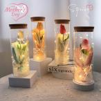 『即日発送 』母の日 プレゼント プリザーブドフラワー ガラスポット ドライフラワー LEDライト付き 枯れない花 フラワーギフト 永遠の花 妻 結婚記念日 誕生日
