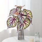 フェイクグリーン オランダカイウ 人工観葉植物 造花 壁掛けインテリア 人工…